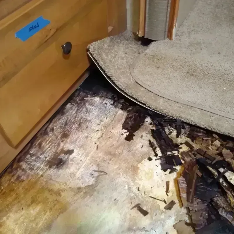 Wood Floor Water Damage in Eaton Rapids, MI